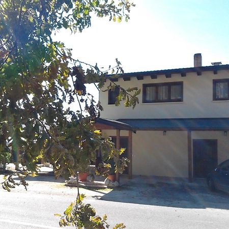 Agrihotel Papaya San Pietro Apostolo Exterior photo