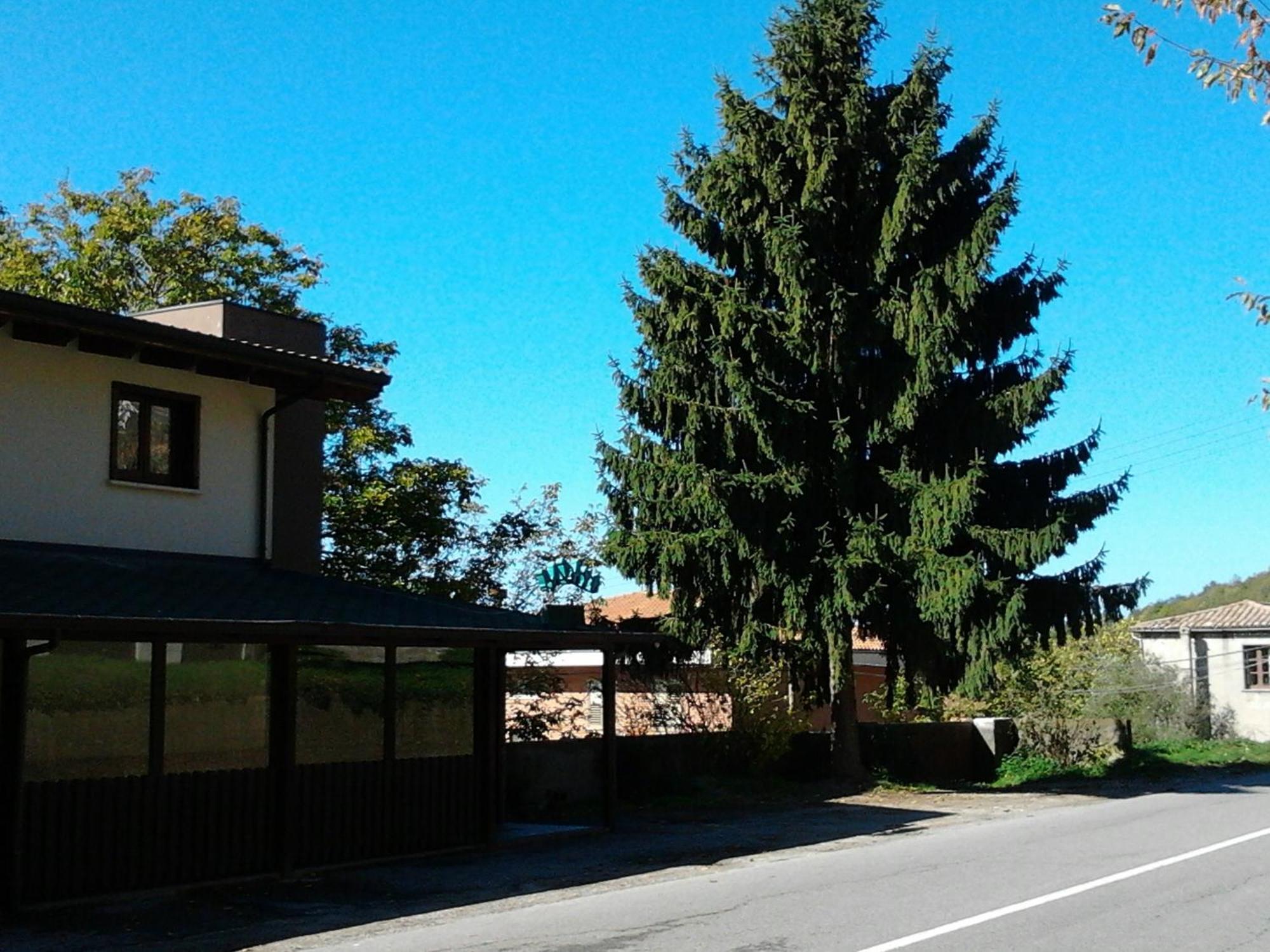Agrihotel Papaya San Pietro Apostolo Exterior photo